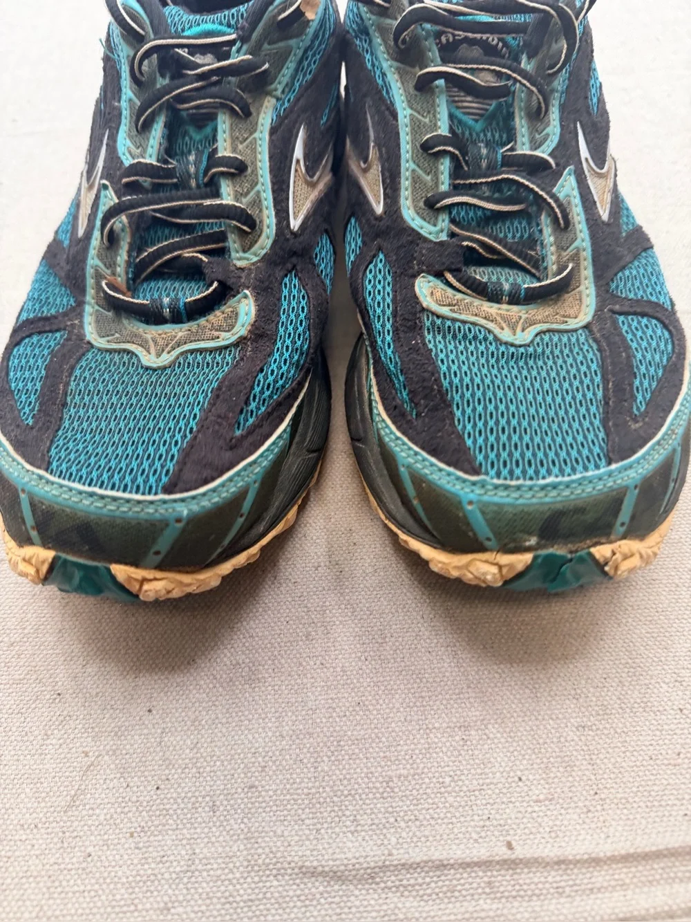 Brooks Cascadia 12
